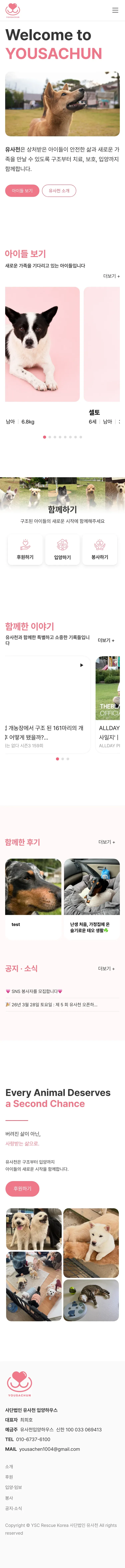 유기동물 입양기관 웹사이트 홈 페이지 Mobile 화면