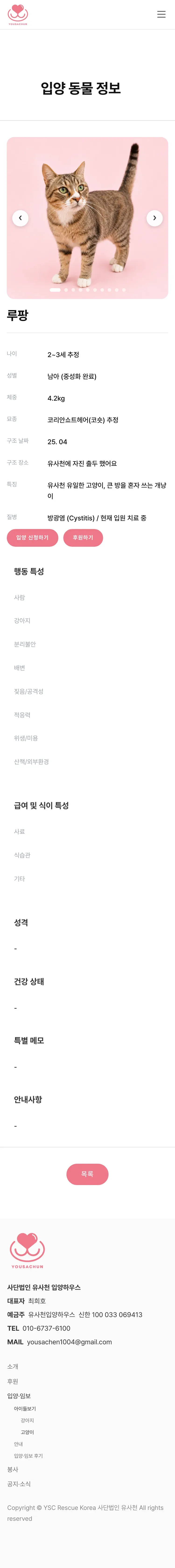 유기동물 입양기관 웹사이트 고양이 상세 페이지 Mobile 화면