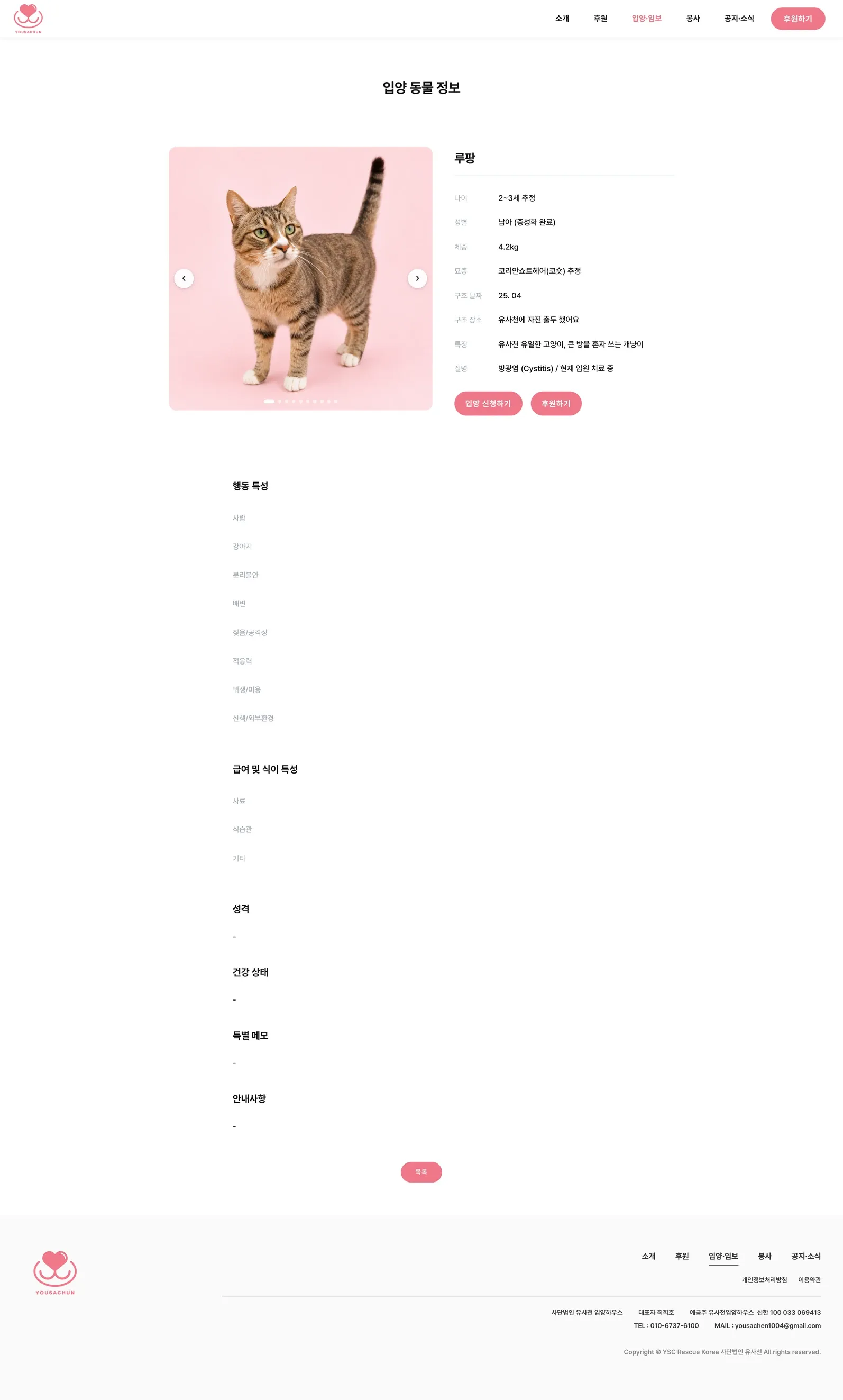 유기동물 입양기관 웹사이트 고양이 상세 페이지 PC 화면