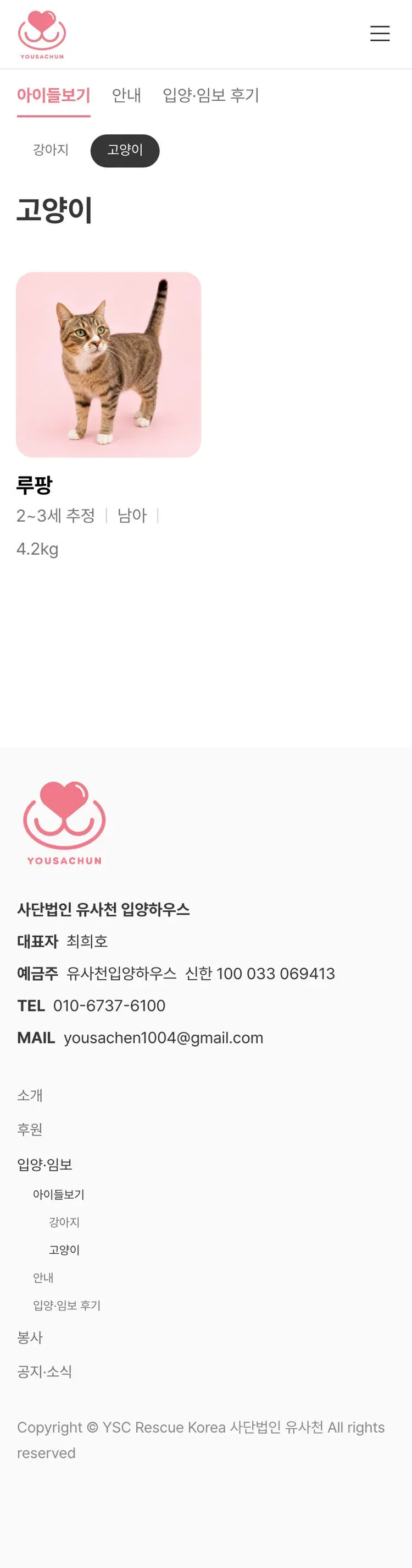 유기동물 입양기관 웹사이트 고양이 페이지 Mobile 화면