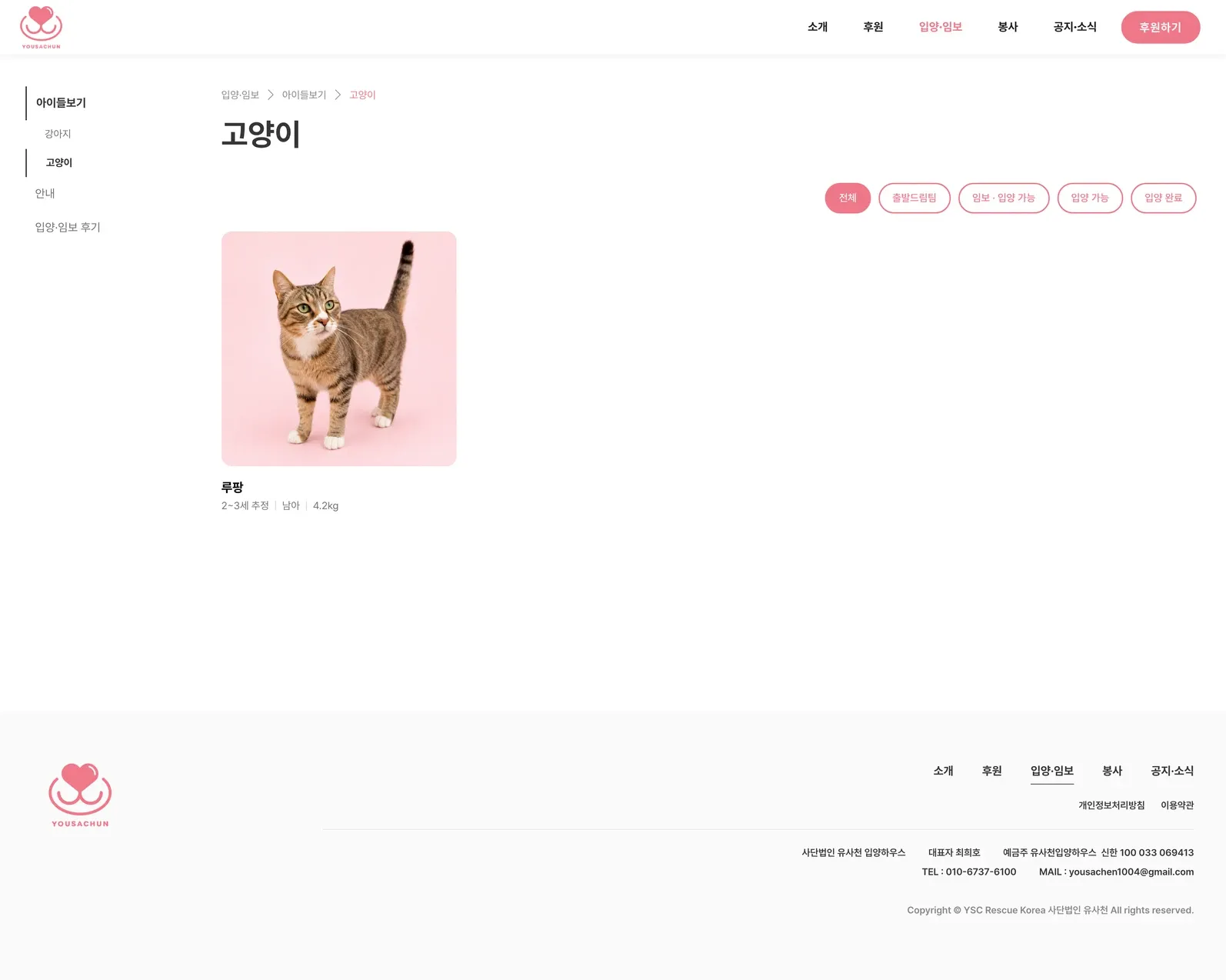 유기동물 입양기관 웹사이트 고양이 페이지 PC 화면