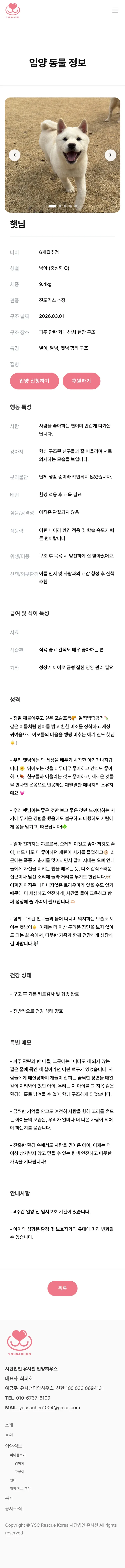 유기동물 입양기관 웹사이트 강아지 상세 페이지 Mobile 화면