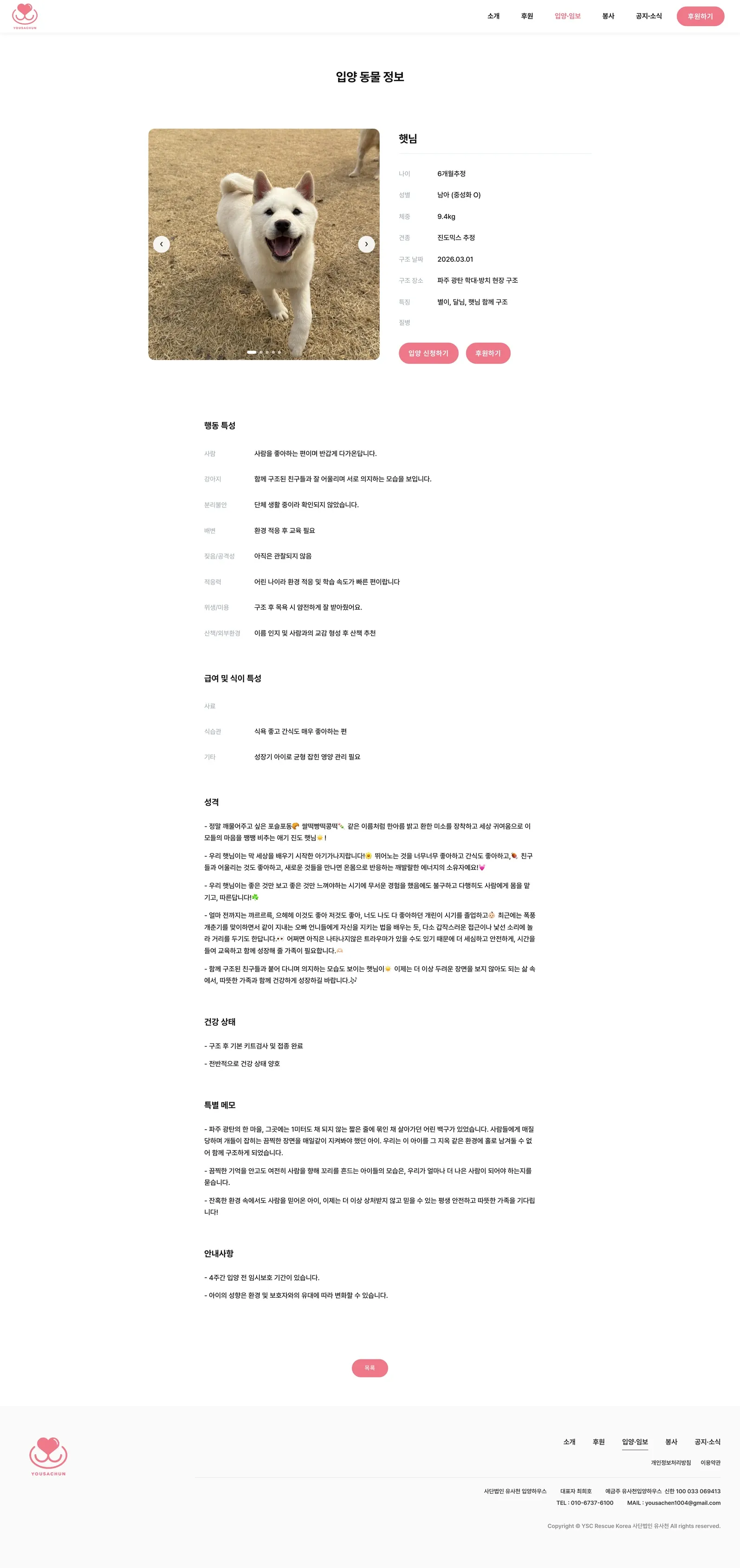 유기동물 입양기관 웹사이트 강아지 상세 페이지 PC 화면