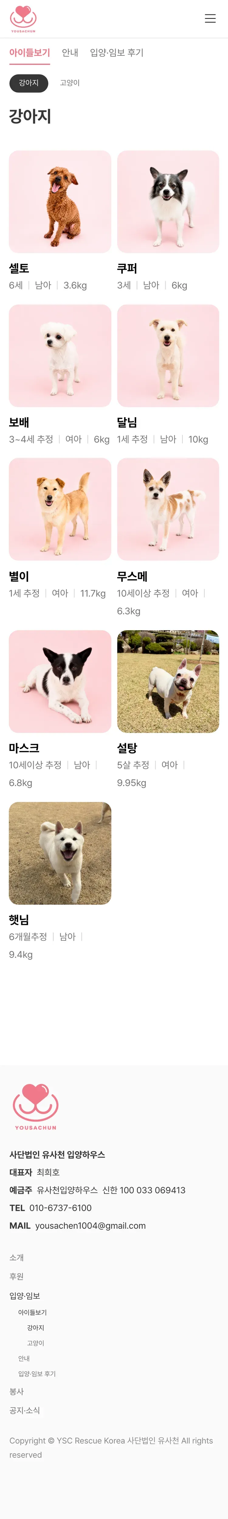 유기동물 입양기관 웹사이트 강아지 페이지 Mobile 화면